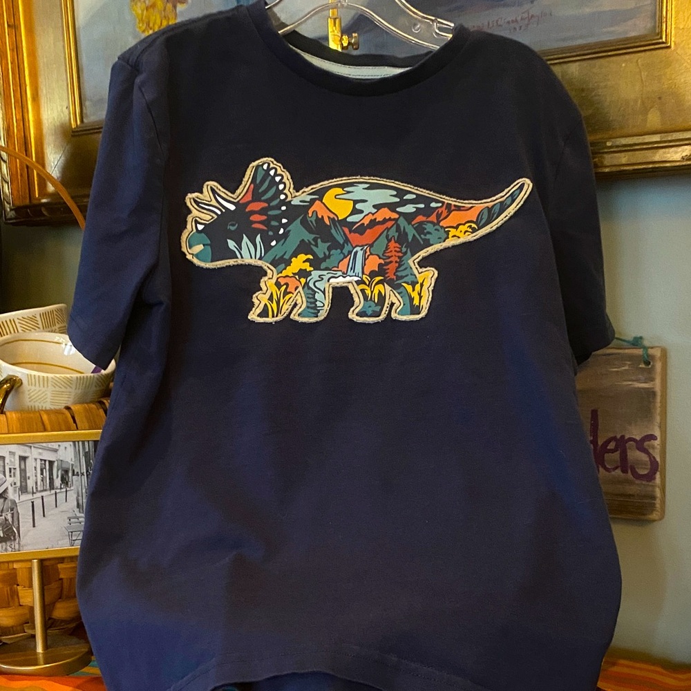 C & C California Kids Collection Blue Short Sleeve Tee w/ Dinosaur Graphic M 7/8